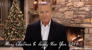 MERRY CHRISTMAS / HAPPY KWANZAA / HAPPY HANUKKAH / HAPPY NEW YEAR 2019