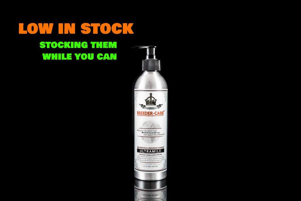 Low Stock Alert!! [November 2019]