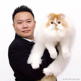 THE RUB & PUFF THEORY (WORLD'S FINEST PET FACIAL CARE SOLUTION)
